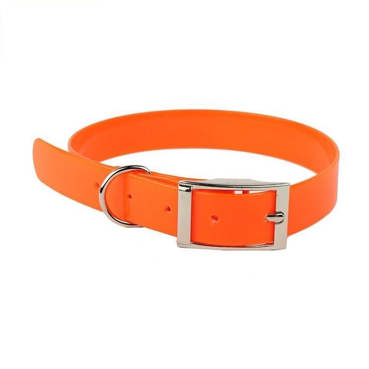 Royalist Köpek Boyun ve Beeper Tasması Plastik Turuncu - 20mm x 50 cm